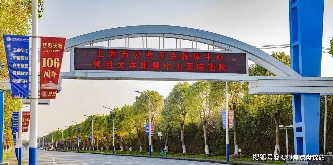 中侨职业大学/电影学院/华东师范大学第三附中生态宜金山新华御著售楼