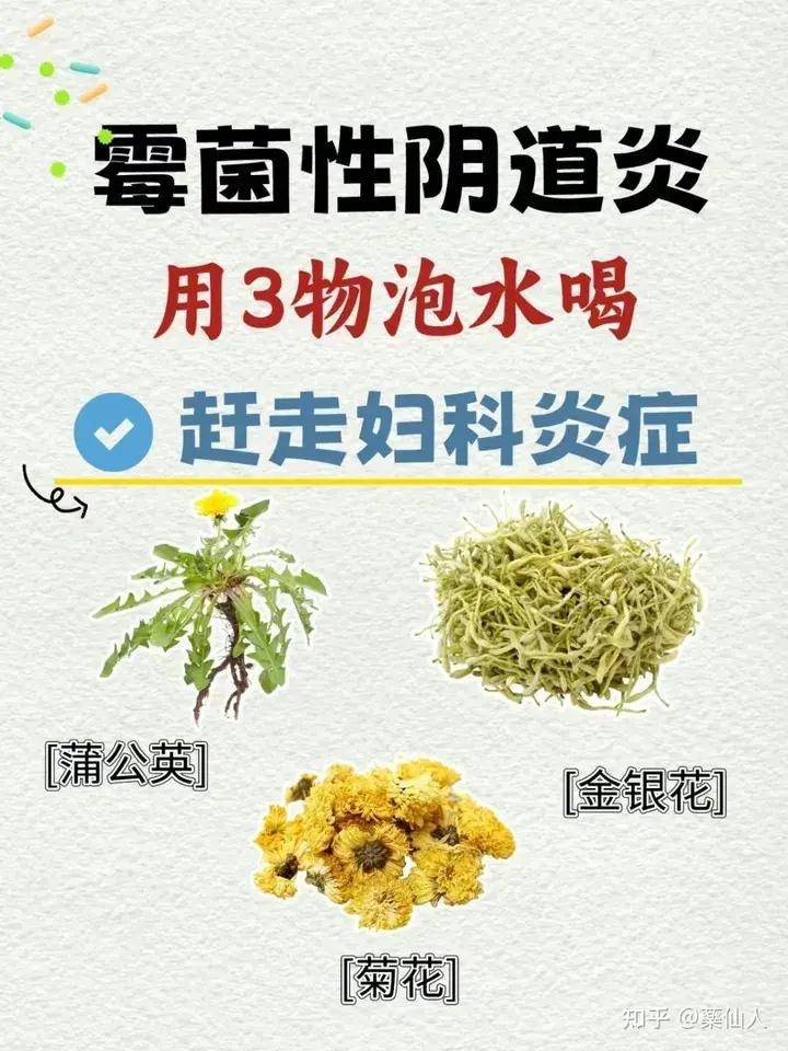 两性霉素B的用法图片