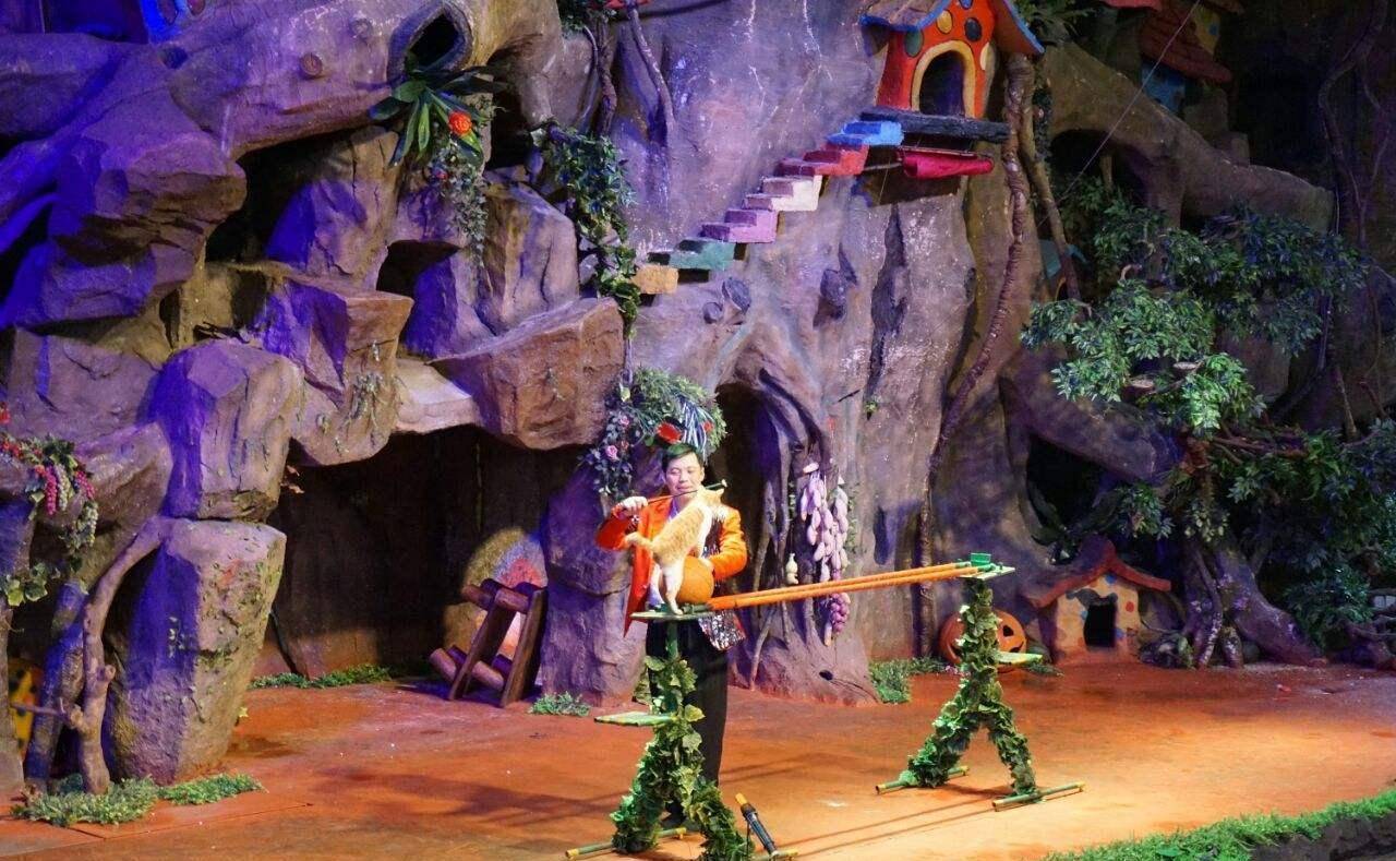 原创广东又一5a景区颇受宠爱是亲子游的佳地门票160元颇受好评