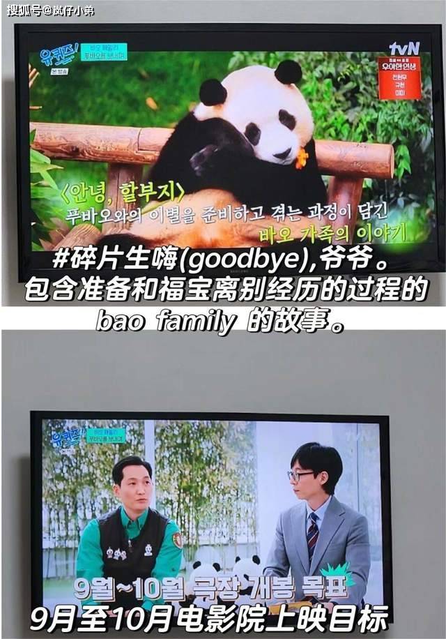 原创
            韩国疯狂拿熊猫炒作，将拍摄福宝电影，对比日本表现差距一目了然
