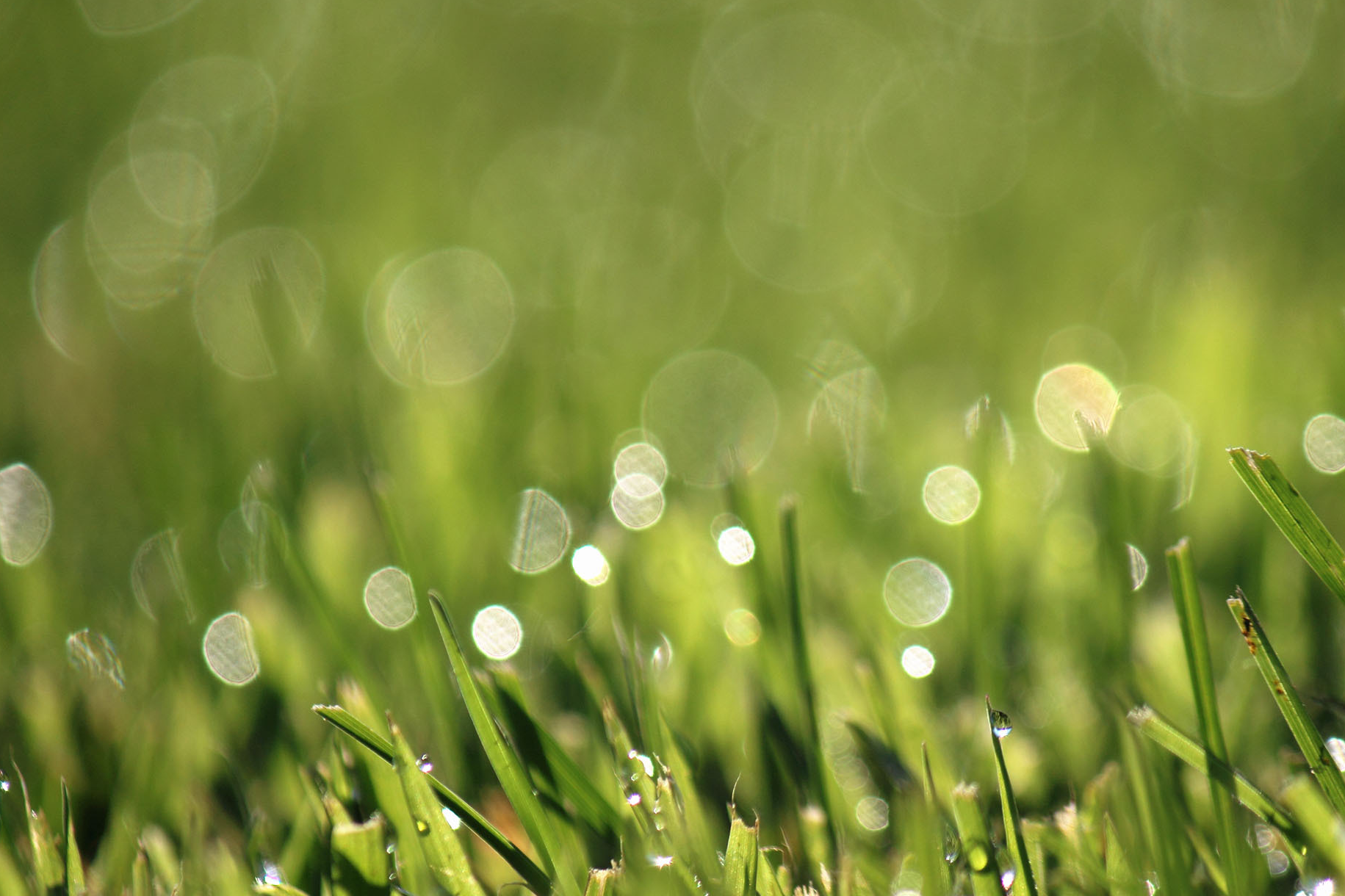 5月初,好运将至水逆退散的三大星座