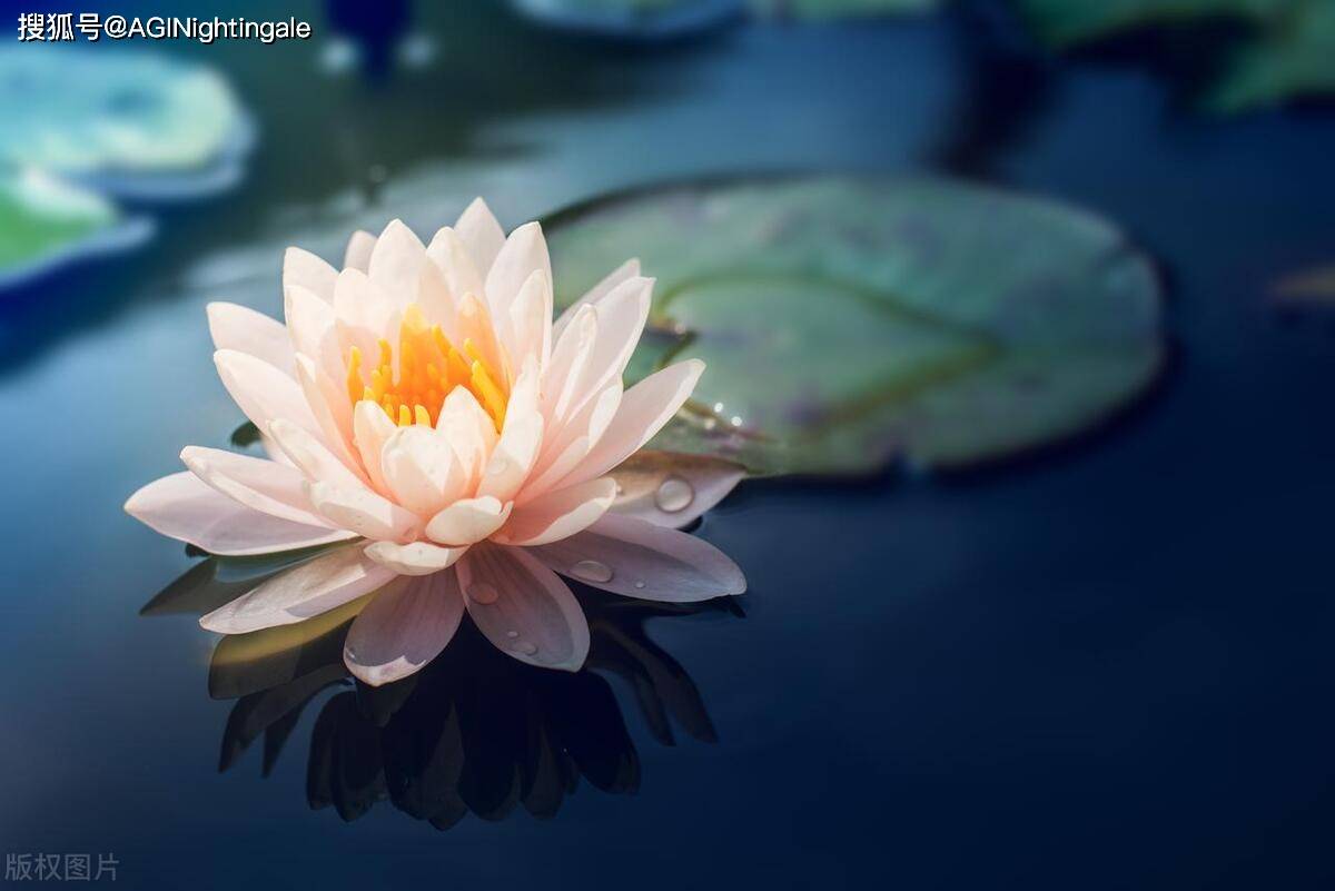 家里父母过世之后,兄弟姐妹做到:一拜,二算,三留