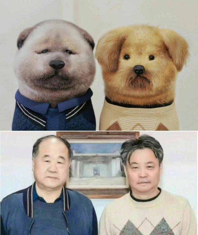 余华给莫言投稿一篇10万 ,网友关注起了两人微信头像,全网笑疯