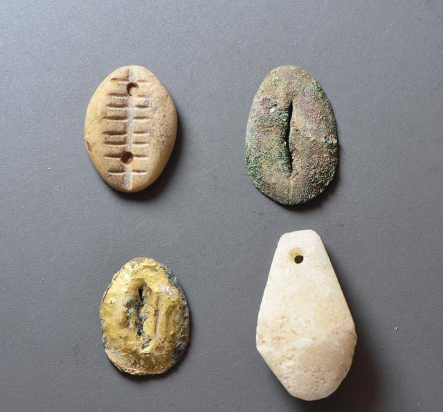 原创古代货币是贝壳为什么穷人不去海边偷偷多捡点从而发家致富