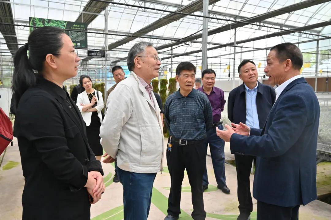 浙江省原副省长省慈善文化研究院院长陈加元一行来寿仙谷考察