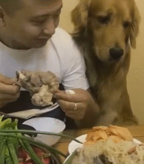 就连眉头都皱起来了,就像是一个小可怜一样,脸上的表情非常的哀怨