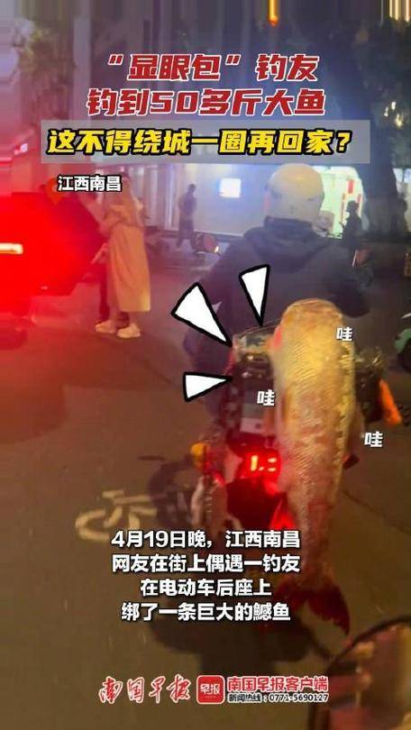 原创            男子钓到50斤大鱼绑车后逛街！三次过家门都没进