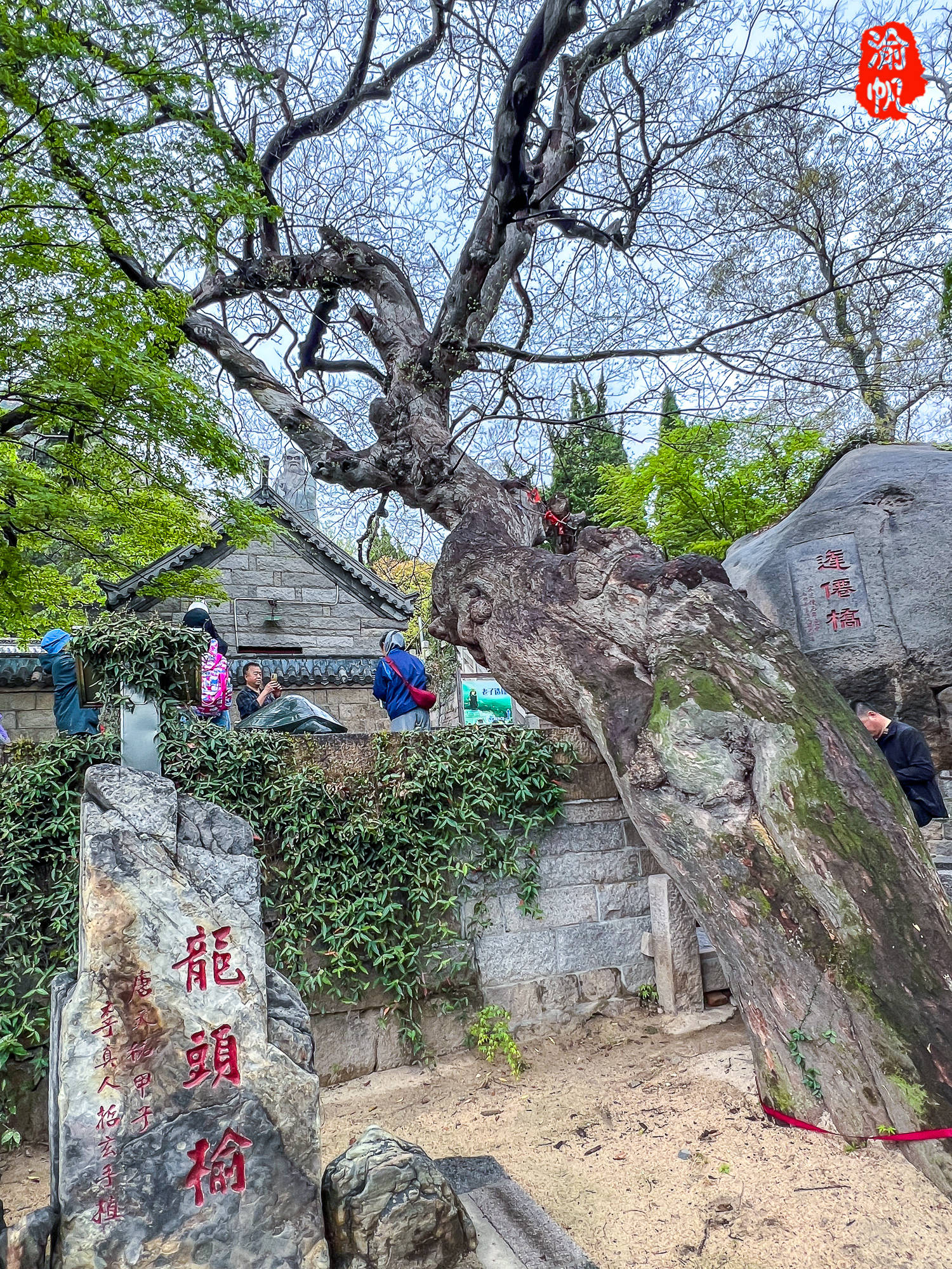 山东最大的道观,系崂山道教祖庭,还有《崂山道士》穿过的院墙