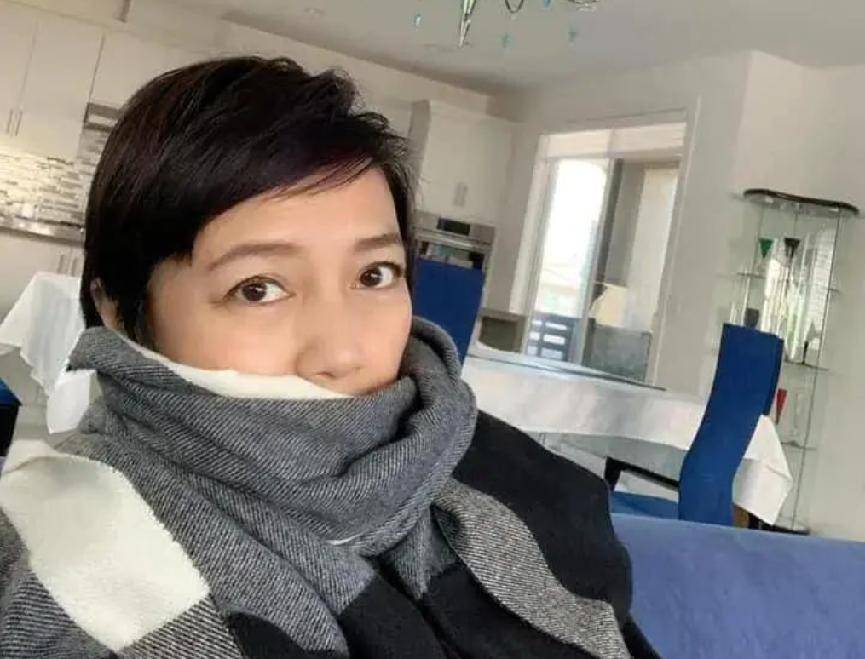 做生意欠下巨债,她伪造收据套取现金,携子女移居国外,事出有因_杨婉仪