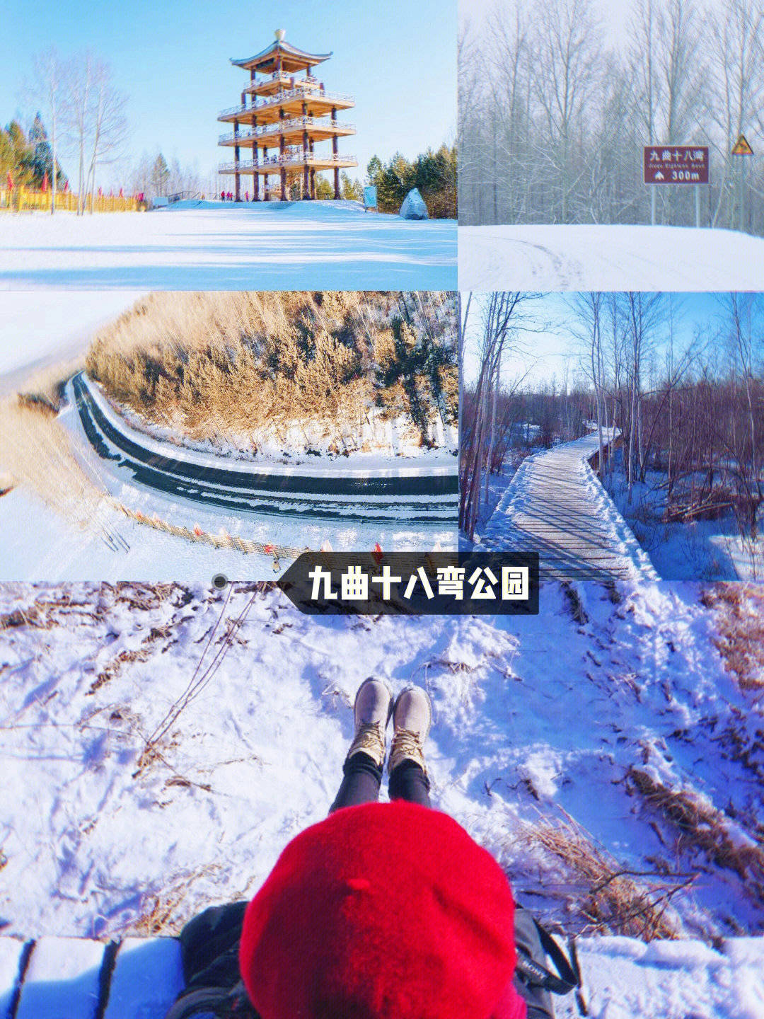 马拉爬犁,日出拍泼水成冰15白桦林15北极村午饭15最北邮局/最北