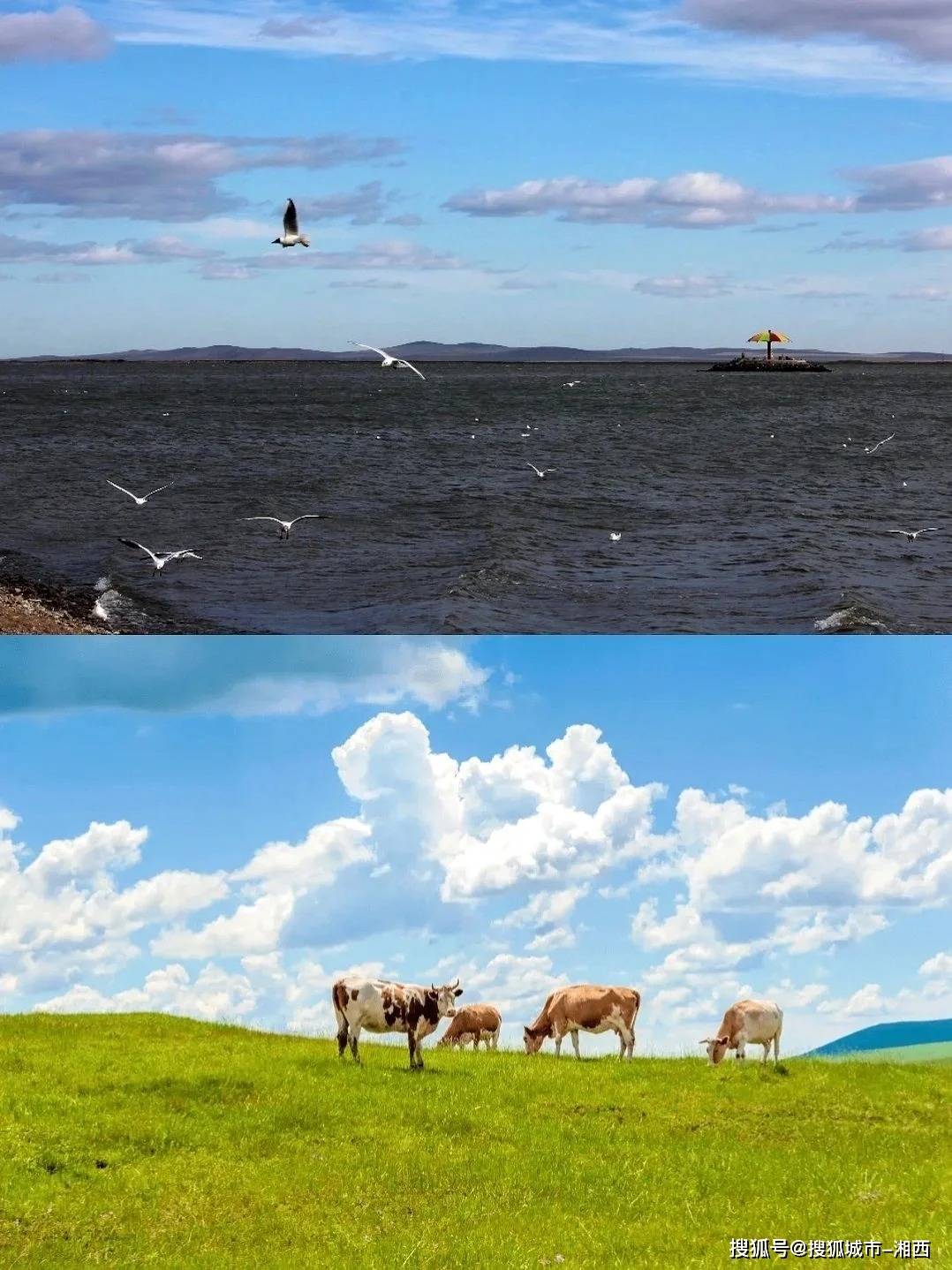 旅游规划师媛媛,在我们抵达内蒙古之前她就帮我们把住宿,导游,门票