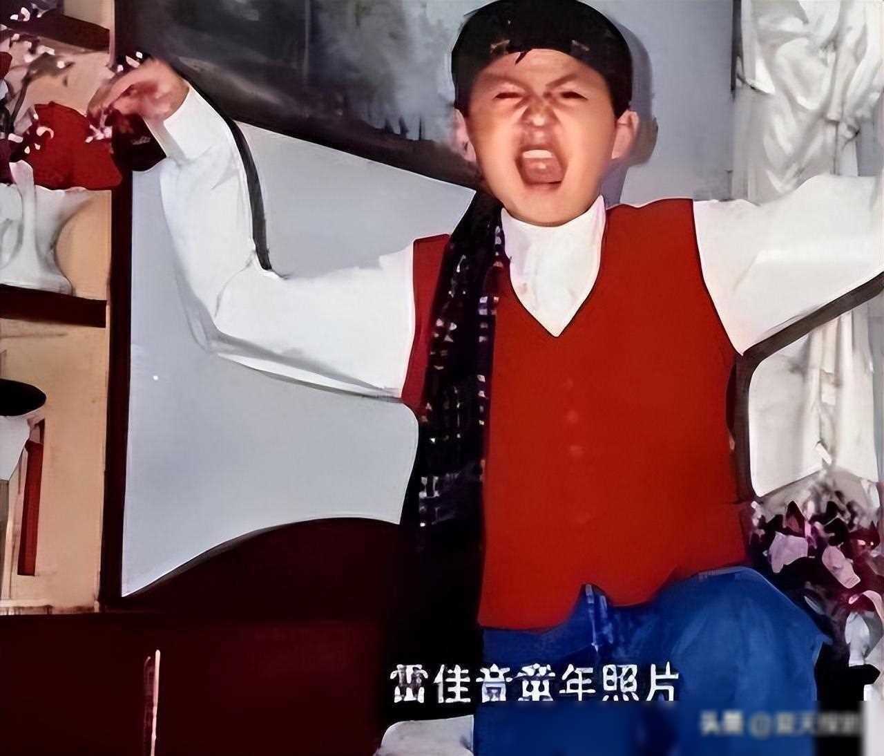 雷佳音私生活风波,名利场中的岁危机