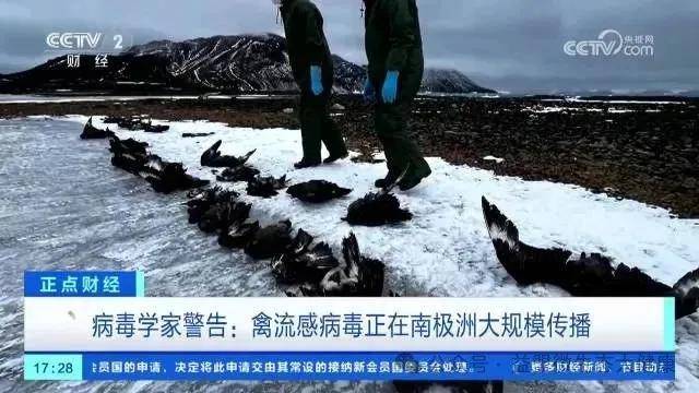 美国h5n1禽流感疫情加剧!