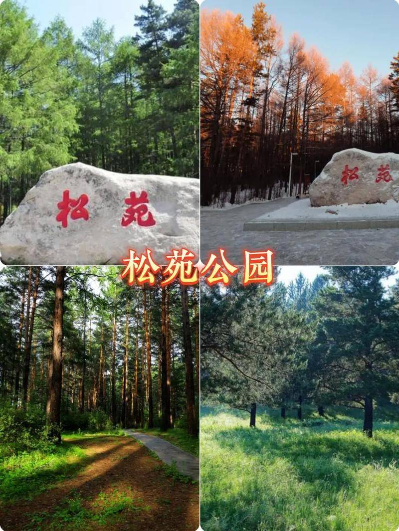 跟团去漠河旅游五天需要多少钱?最佳方案!舒适!