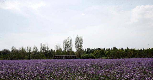 没有秦家,就没有后来祁县乔家的繁荣,更没有辉煌的乔家大院