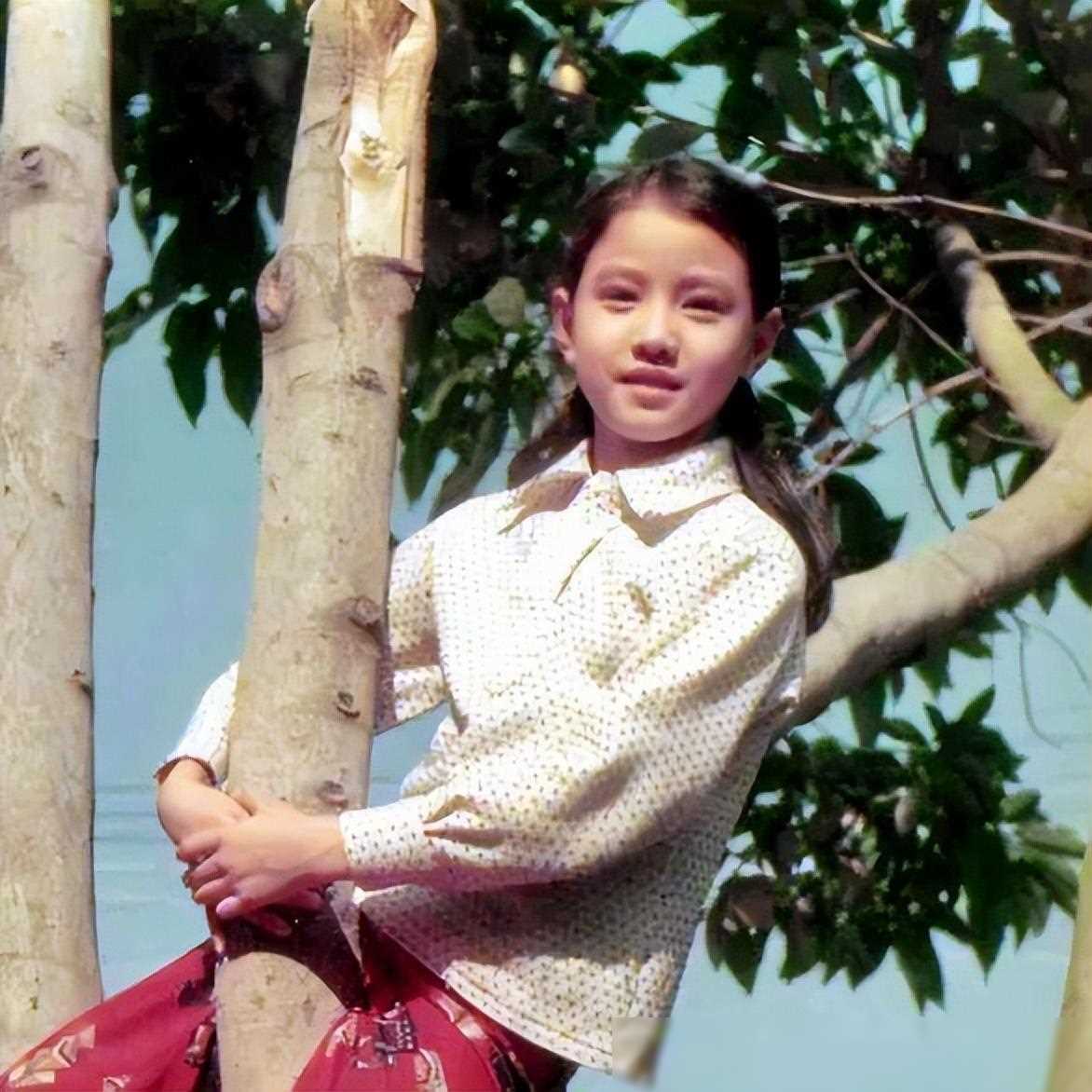 周海媚墓地选址揭秘,生前热爱演艺事业,亦钟爱北京