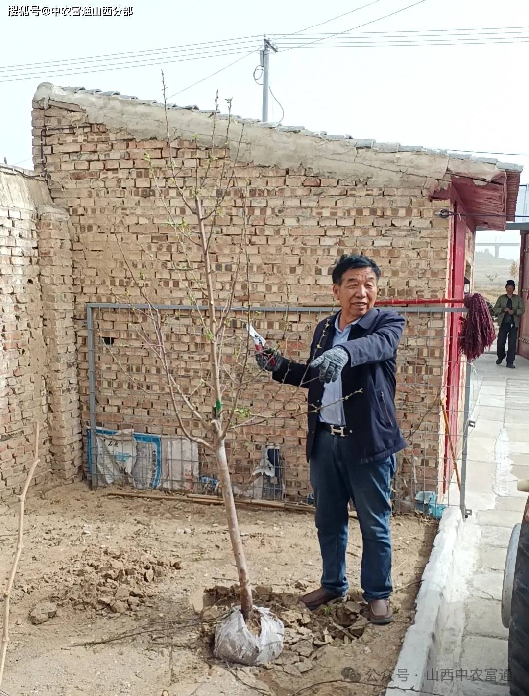 发展庭院经济 构造神池千万工程新图景_神池县_种植_农业