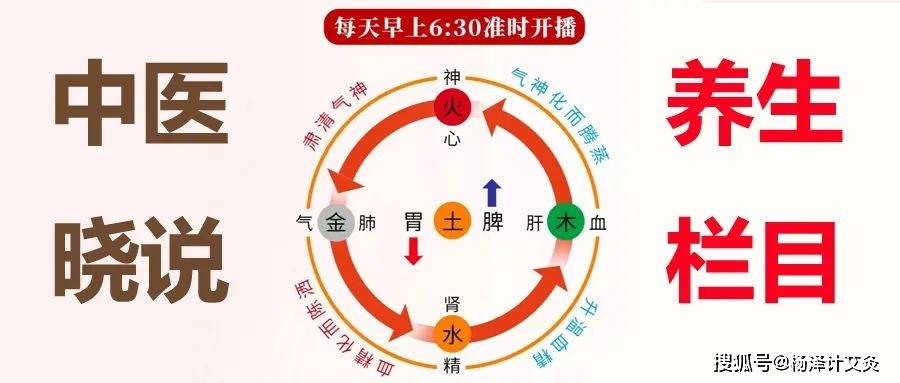中医晓说:贫血免疫力低下?优质蛋白质能帮你解决这些问题吗?