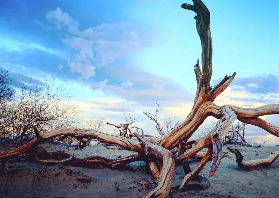 原创
            五一拼假9天，怎么玩？完美小众旅行目的地帮你安排好了！(图11)