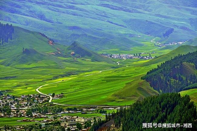 壁纸 成片种植 风景 植物 种植基地 桌面 650_434