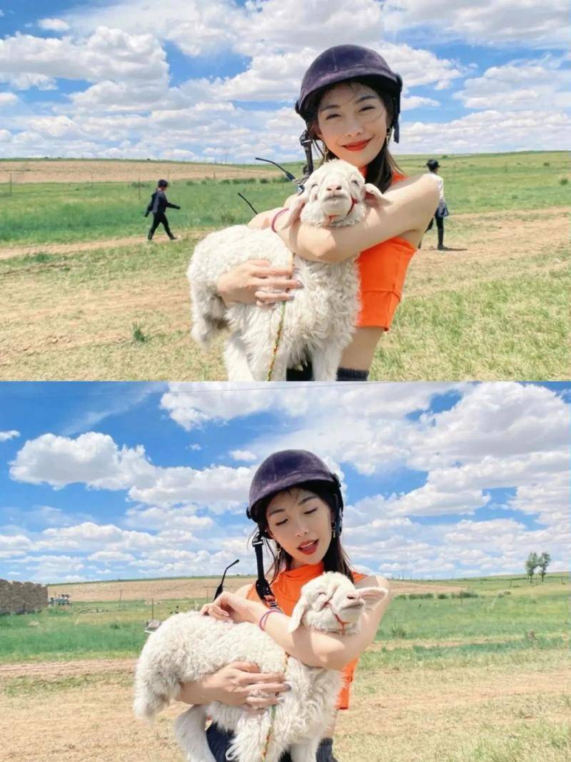 熬夜总结!内蒙地接社联系方式?