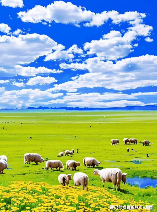 内蒙古著名景点,内蒙呼伦贝尔大草原旅游景点,绝不踩雷攻略路线