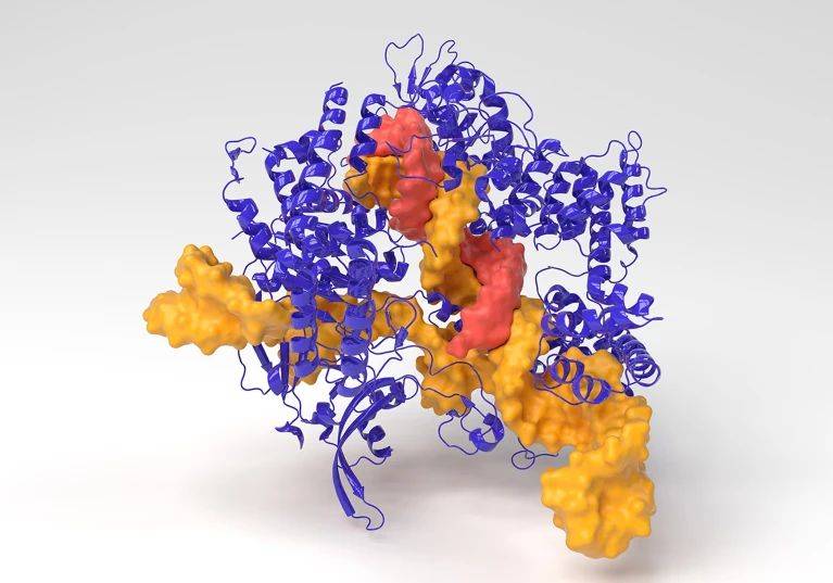 自然杂志:crispr 的 chatgpt 创造了新的基因编辑工具