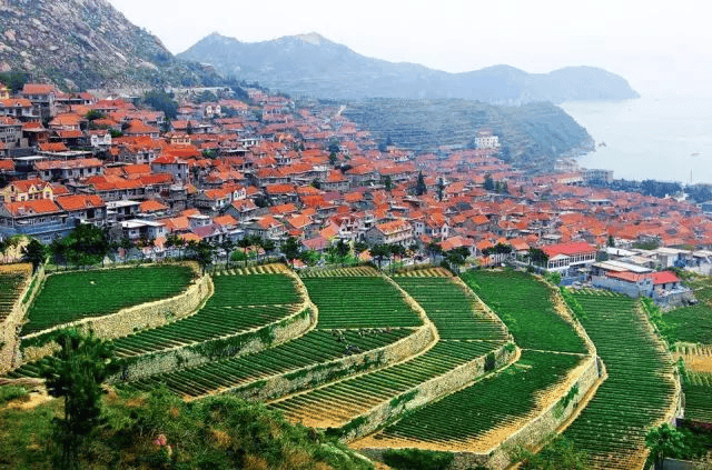 高品质旅行!老年人跟团去青岛费用多少?