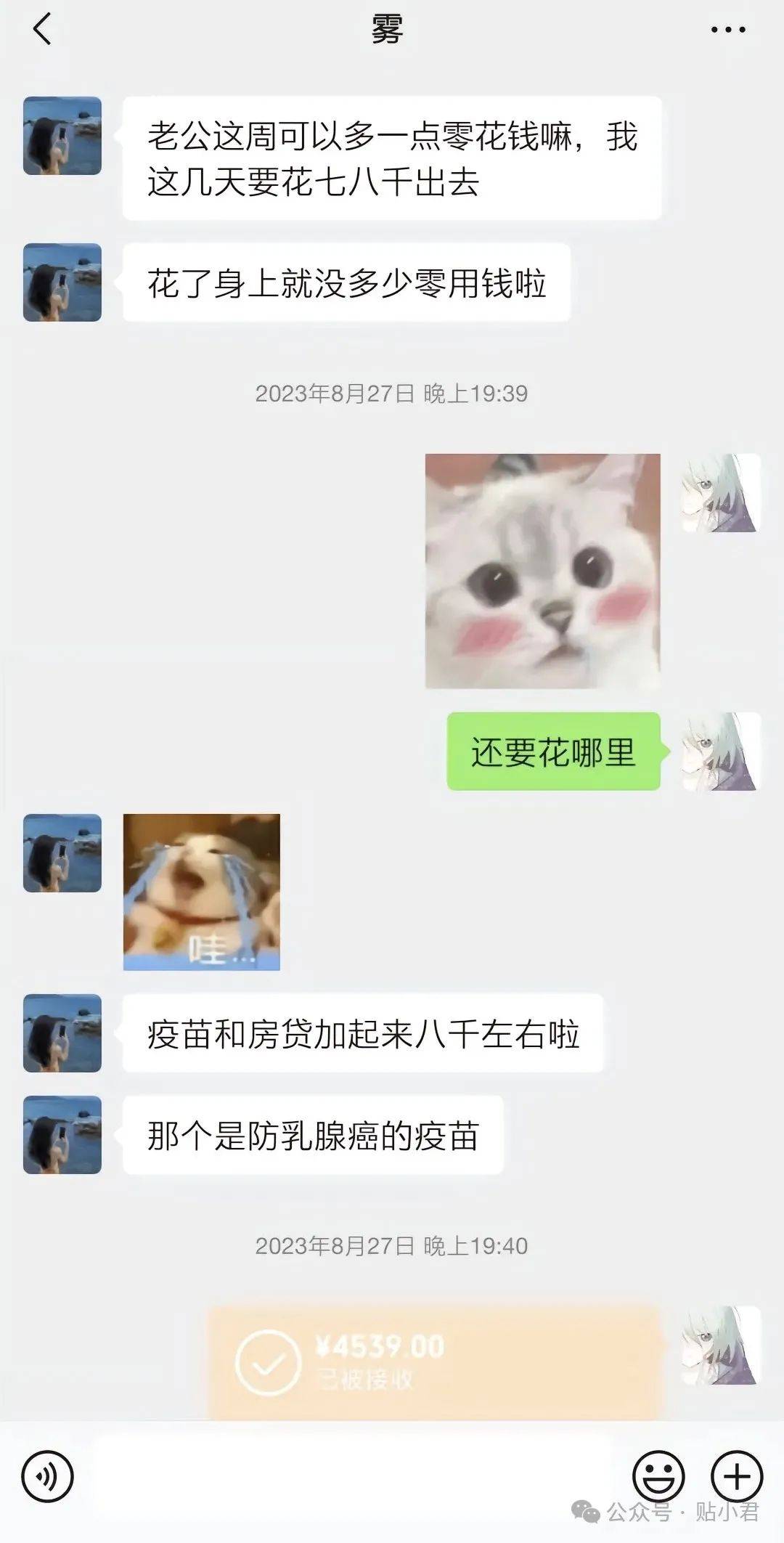 易靖霆 | 21岁重庆男子跳江事件
