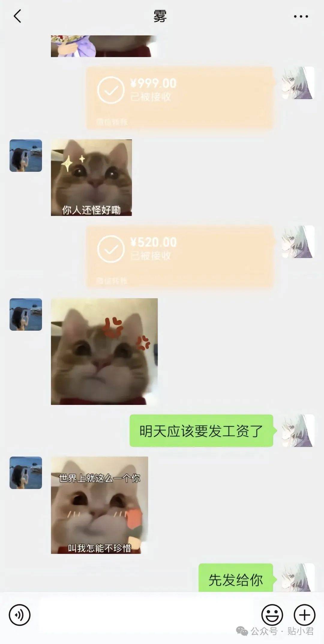 易靖霆 | 21岁重庆男子跳江事件