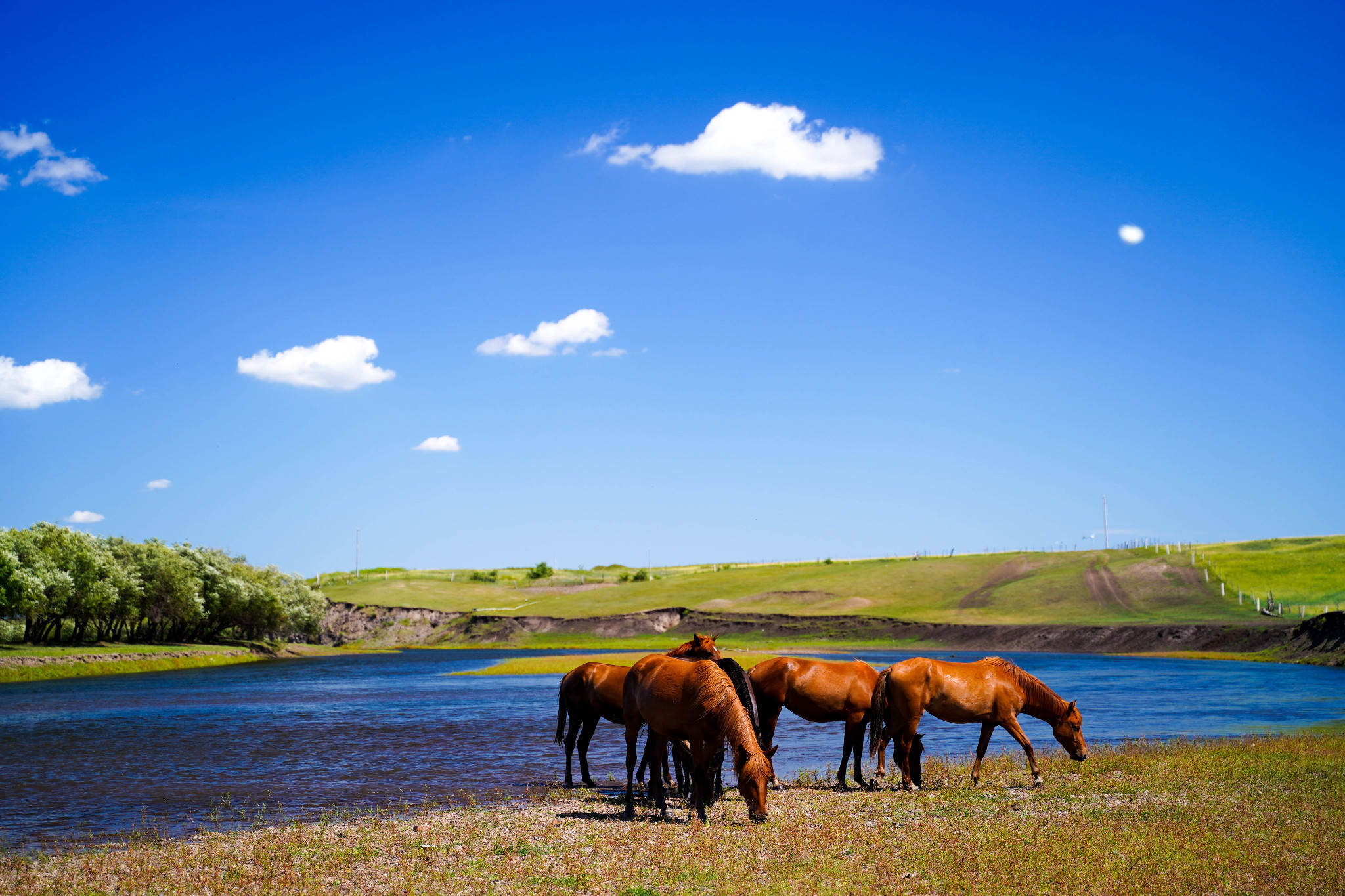 去内蒙古呼伦贝尔大草原玩6天怎么玩?内蒙古旅游攻略