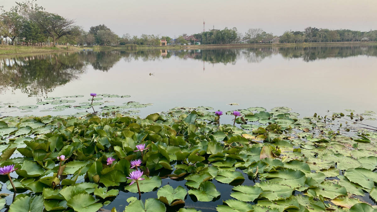 美丽的莲花湖公园图片