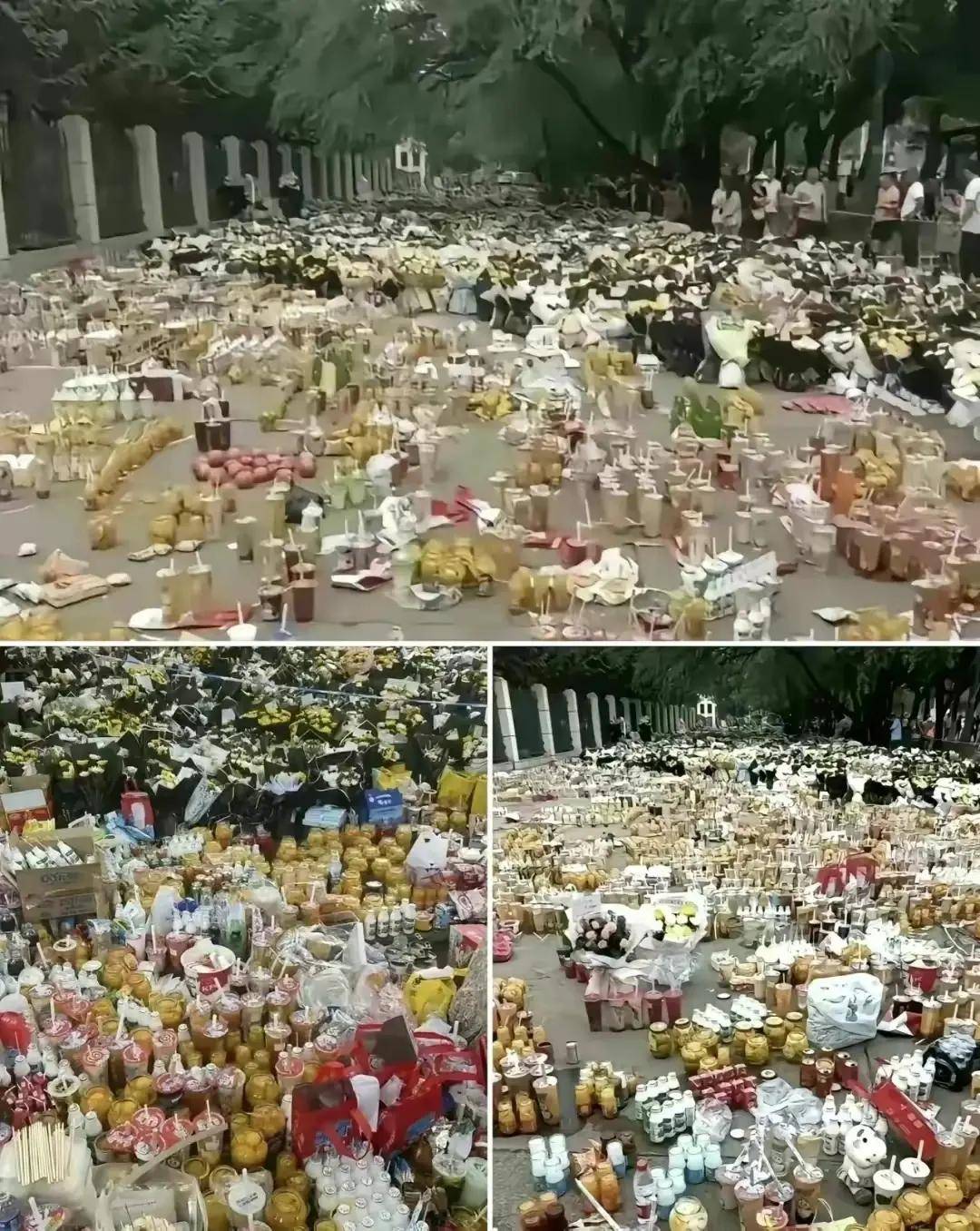 "问世间,情是何物,直教生死相许.天南地北双飞客,老翅几回寒暑?