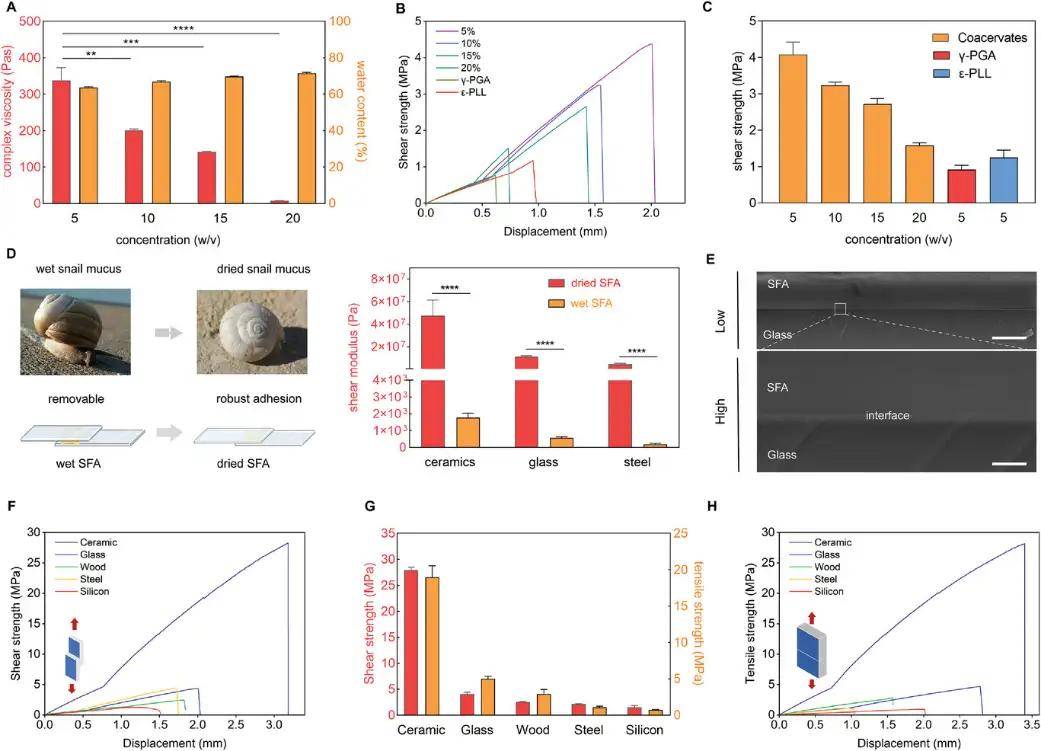 afm | 良渚实验室发明蜗牛黏液的凝聚物有望作为无