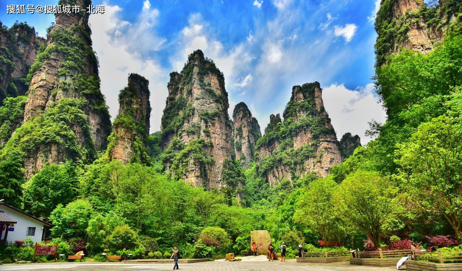 舒适!张家界研学团旅游找哪家好