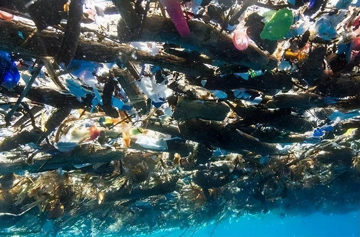 垃圾生物性污染图片