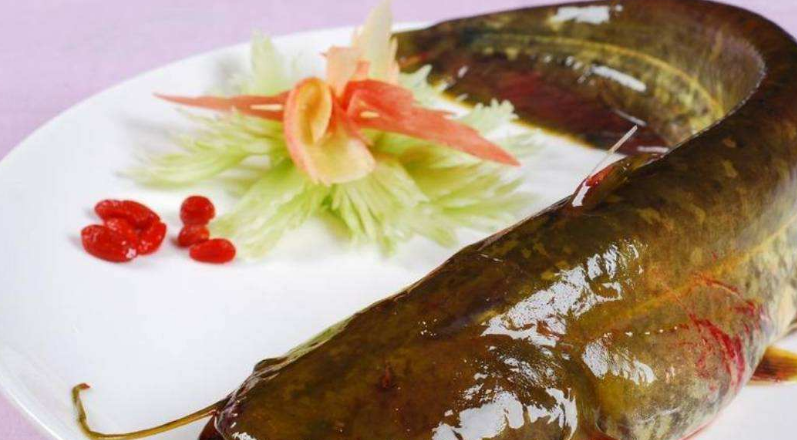 水中"大胃王"在印度泛滥,隔空求助中国吃货,网友纷纷表示拒绝_鲶鱼
