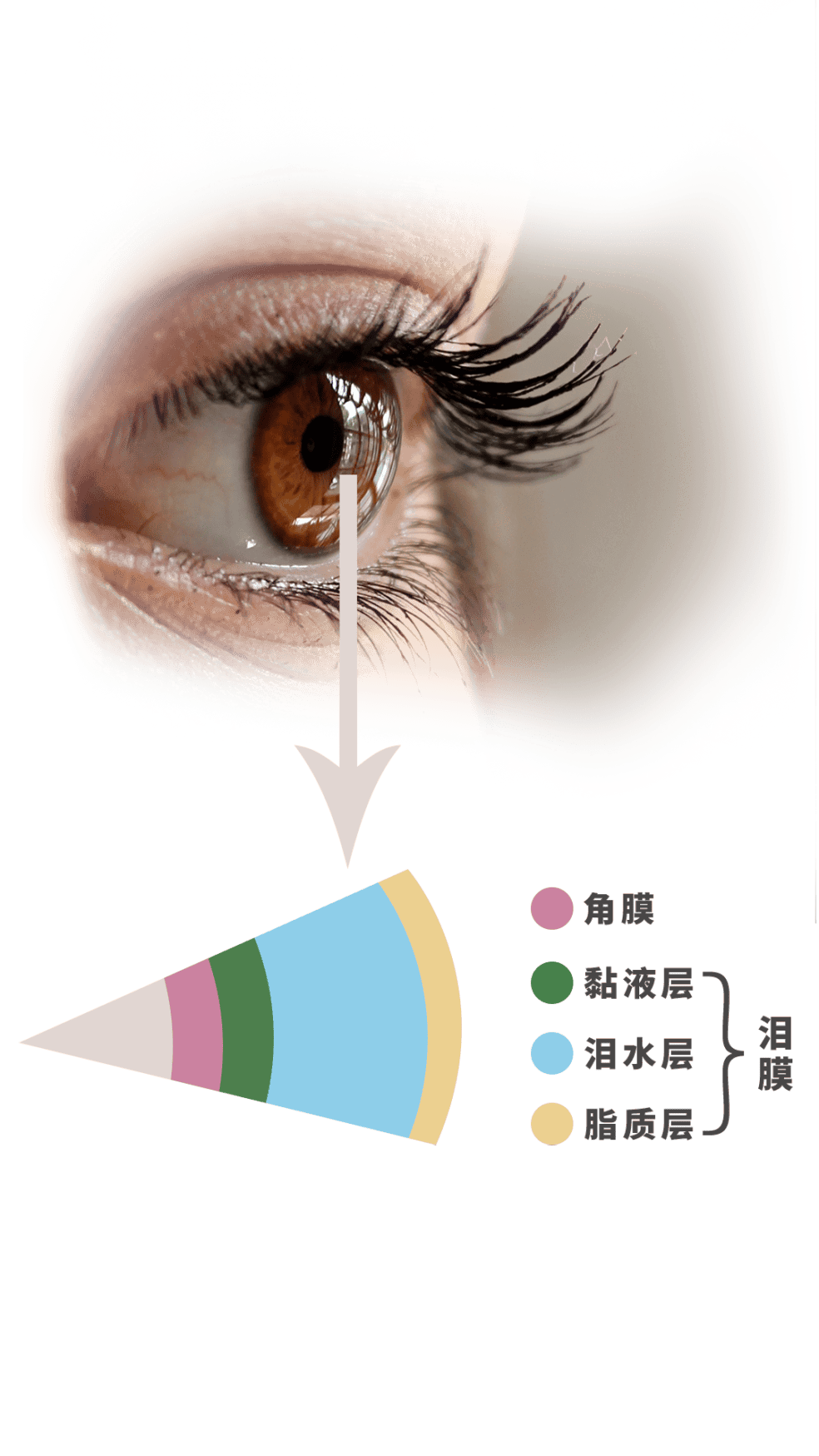 打工人多喝水对干眼症有帮助吗?
