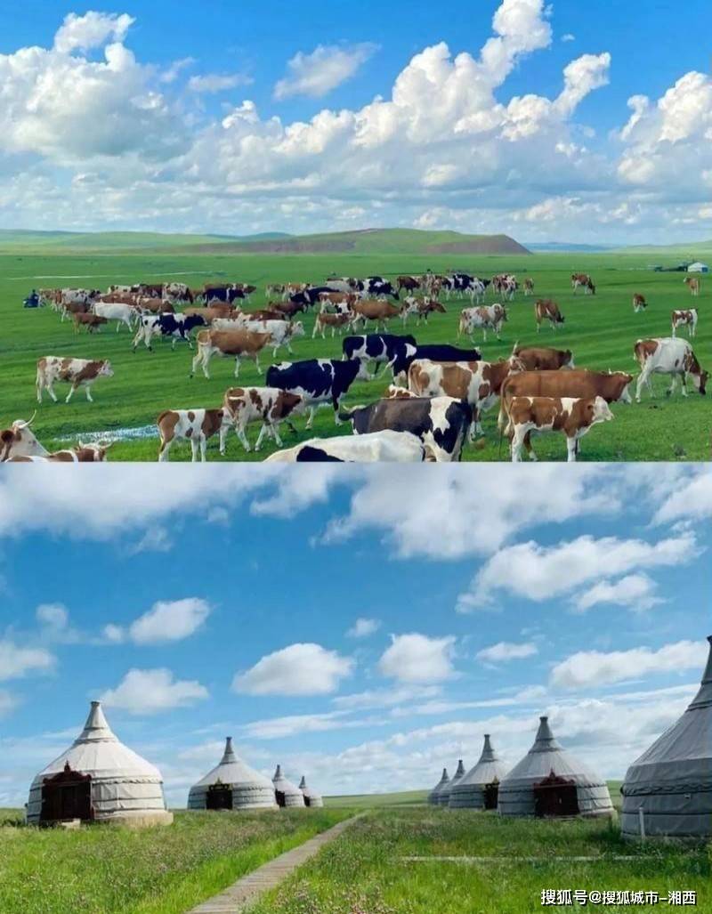 报团去内蒙呼伦贝尔旅游多少钱? 五日游攻略和费用