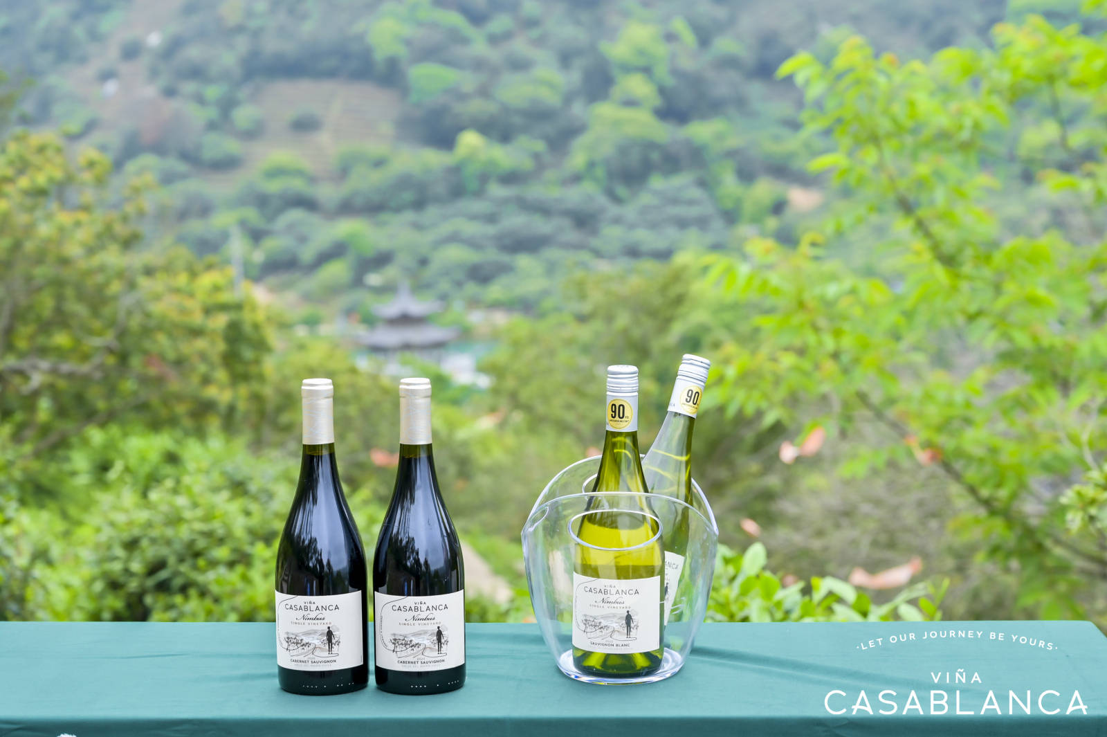 携手共进,新篇启航 | 卡萨布兰卡酒标焕新发布之旅圆满举办