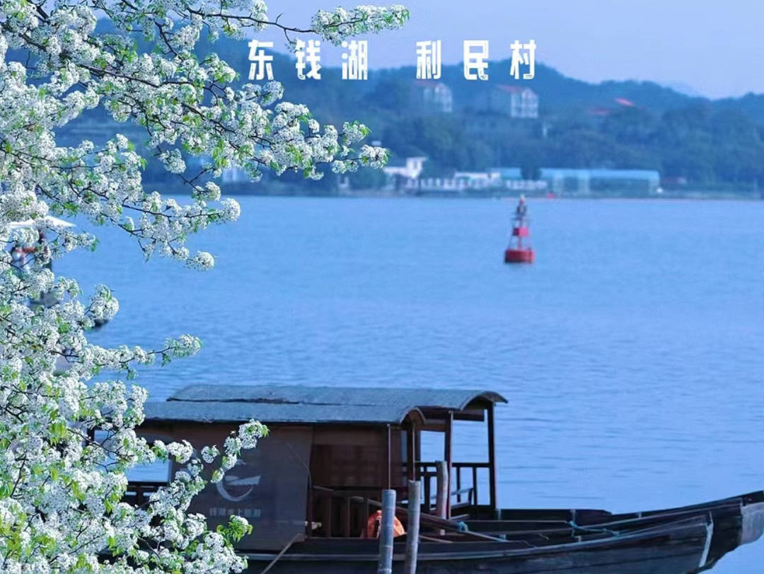 这次,让我们在春夏秋冬旅游发展有限公司负责人的讲解下,走进东钱湖畔