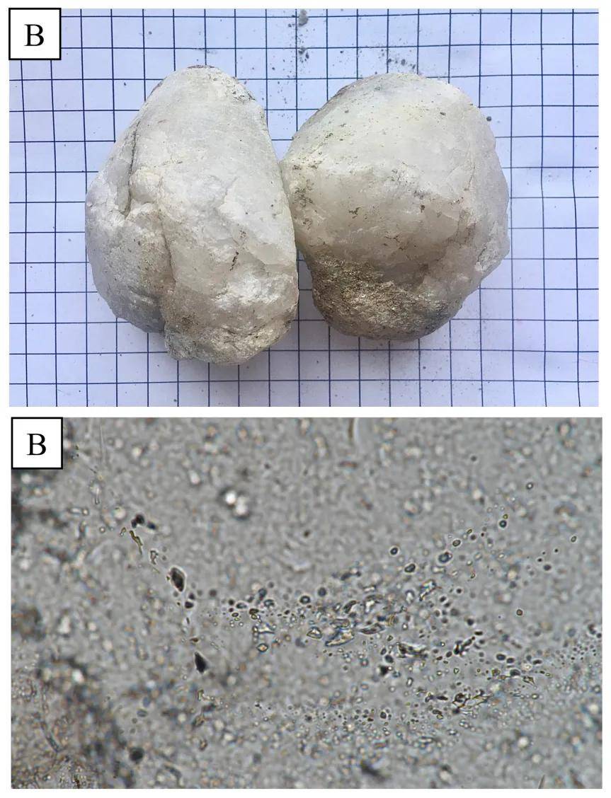 伟晶岩_流体_矿物