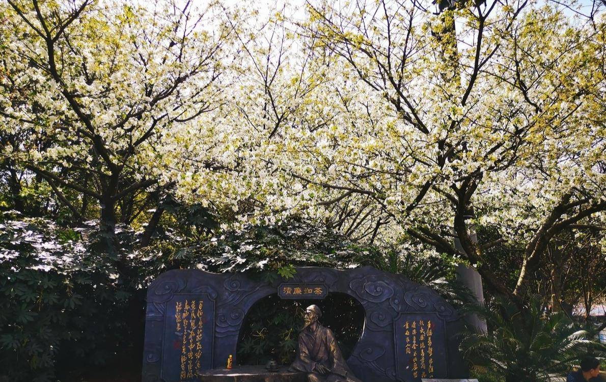 王阳明劝诫世人:哪怕再有钱,再有人脉,也需要记住这七字真言