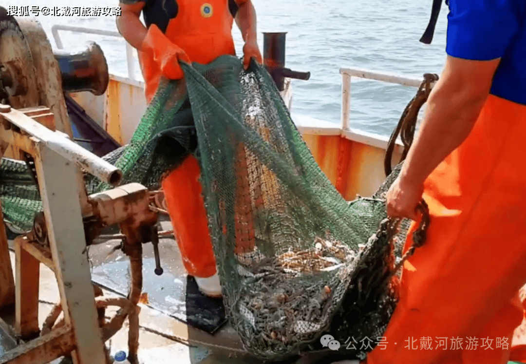 秦皇岛,北戴河渔船出海了!体验渔民生活!