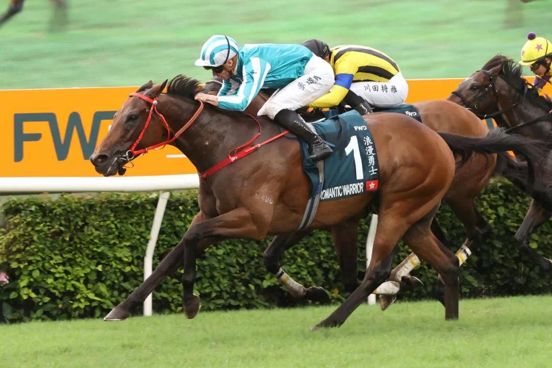 "遨游气泡"(右),"浪漫勇士"(左) 图片来自hkjc