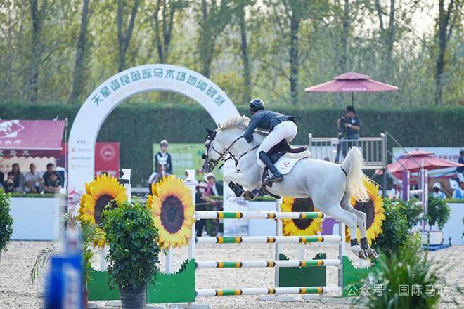 2024天星调良国际马术场地障碍赛天星调良马术举行