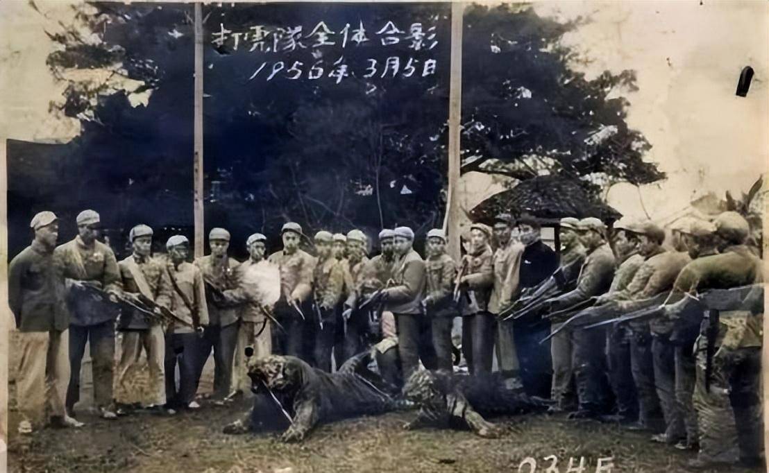 郴州50年代五盖山打虎英雄唐石秀_老虎_姑爷_一带