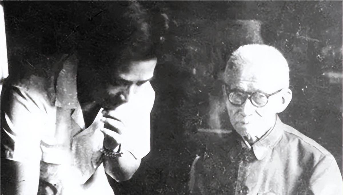 文树新在阖上眼睛之前,心里想的还是杨晦,她觉得能为杨晦产下一女,就