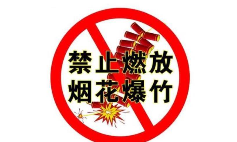 行长杨凯生:建议全面禁放烟花,扬言文化传承不重要,如今怎样