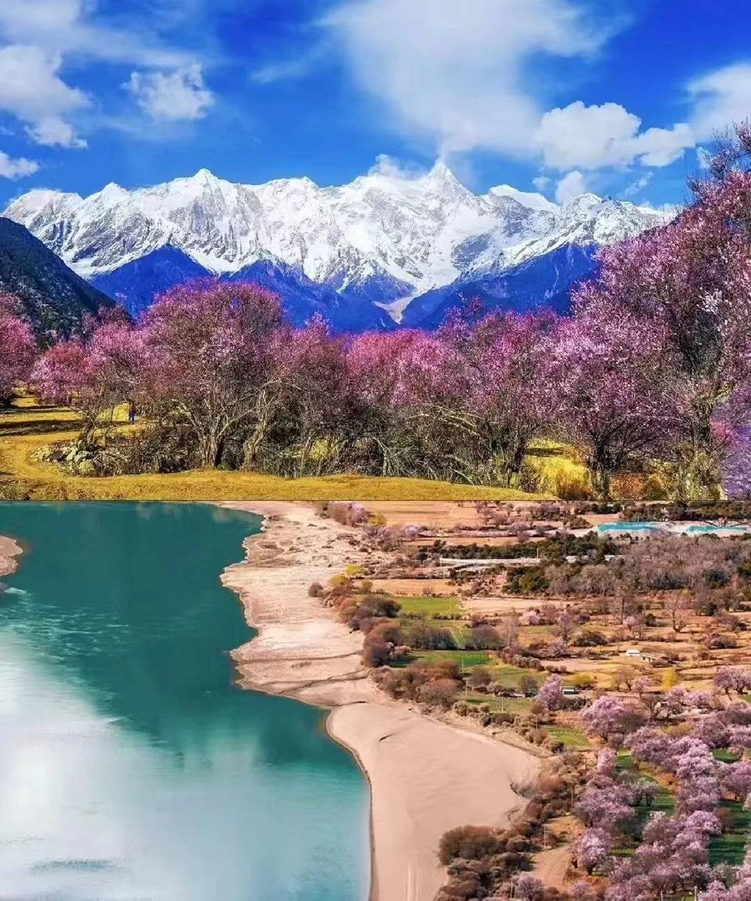 去西藏旅游攻略,偏爱的林芝,旅游的最佳季节是什么时候?